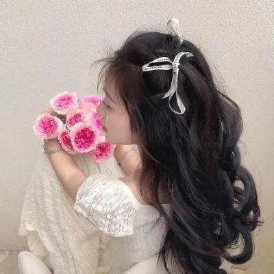 清潭主厨 海报
